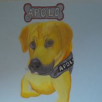 Mi proyecto del curso: Retratos de Mascotas en Lápices de Colores. Traditional illustration, and Naturalistic Illustration project by Daniel Andrés Prada Carvajal - 11.25.2024