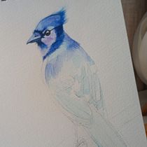My project for course: Naturalist Bird Illustration with Watercolors. Desenho realista, Ilustração tradicional, Pintura em aquarela e Ilustração naturalista projeto de Gin Ortiz - 24.11.2024