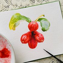 My project for course: Realistic Botanical Illustration: Escape to Nature. Botanical Illustration, Naturalistic Illustration, Painting, and Watercolor Painting project by Aditi Jain - 12.05.2024