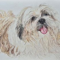 Ollie. Traditional illustration, Naturalistic Illustration, Drawing, Fine Arts, and Sketching project by Hala Syed - 12.06.2024