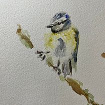 Birds final project separeted. Traditional illustration, Watercolor Painting, Realistic Drawing, and Naturalistic Illustration project by MIRELE HASSELQVIST - 12.07.2024
