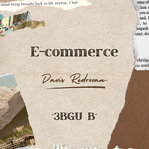 E-commerce. Web Development, Web Design, E-commerce, Digital Marketing, and Business project by Davis Andres Redrovan Cayo - 12.07.2024