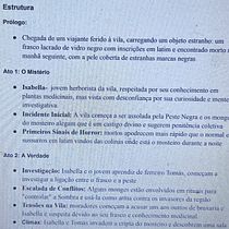 Meu projeto do curso: Escrita de romance passo a passo. Un projet de Créativité, Écriture, Narration, Stor, telling, Écriture de fiction , et Écriture créative de melanie_pestana - 11.12.2024