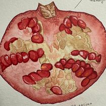 pomegranate. Botanical Illustration, Drawing, Fine Arts, Traditional illustration, Painting, and Watercolor Painting project by paulinanaj - 12.15.2024
