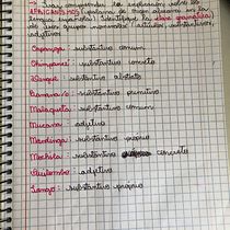 Guia de Escrita para uma Newsletter Antirracista com foco em Arte & Cultura . Content Writing, Information Design, Stor, telling, and UX / UI project by Lara Alfieri - 12.17.2024