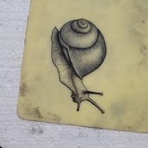 Caracol micro. Tattoo Design project by santiago_foti1 - 12.18.2024