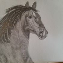 My project for Cole's Course. Un projet de Dessin, Beaux Arts, Illustration naturaliste, Dessin au cra, on , et Dessin réaliste de rjmarley2 - 23.12.2024
