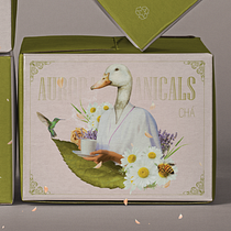 Aurora Botanicals. Un projet de Design  , et Design graphique de Jackson Williams - 27.12.2024