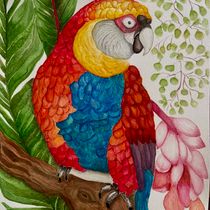 El Parrot. Un proyecto de Dibujo, Bellas Artes, Ilustración naturalista				, Dibujo a lápiz, Dibujo realista y Pintura a la acuarela de Verónica Ayala - 28.12.2024