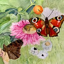 Butterflies and flowers. Botanical Illustration, Traditional illustration, Naturalistic Illustration, Sketchbook, and Watercolor Painting project by Didier Van Impe - 12.29.2024