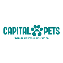 DRAGON STRATEGY CAPITAL PETS Ein Projekt aus dem Bereich Instagram, Marketing, Content-Marketing, Digitales Marketing, Social Media, Kommunikation, Marketing für Instagram und Markenstrategie von Paula Andrea Parra Abril - 31.12.2024