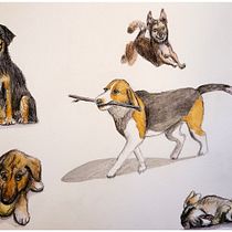 Abschlussprojekt Aufgaben des Onlinekurses *Spezialisierung in Sketching-Techniken*. Un proyecto de Bocetado, Ilustración botánica, Ilustración infantil, Ilustración con tinta, Ilustración naturalista				, Ilustración arquitectónica, Dibujo artístico, Diseño de personajes, Dibujo con lápices de colores, Creatividad, Dibujo, Dibujo anatómico, Bellas Artes, Pintura gouache, Dibujo a lápiz, Dibujo de Retrato, Dibujo realista, Ilustración tradicional y Pintura a la acuarela de Marleen Utech - 01.01.2025