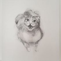 My cat Moody meowing Ein Projekt aus dem Bereich Zeichnung, Bildende Künste, Porträtzeichnung und Naturalistische Illustration von Migyeong Kang - 01.01.2025