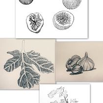 Mein Abschlussprojekt für den Kurs: Botanische Illustration. Botanical Illustration, Drawing, Traditional illustration, Ink Illustration, Sketchbook, and Sketching project by Marleen Utech - 01.05.2025