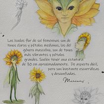 Dibujos de fantasía en grafito y acuarela: guía práctica Ein Projekt aus dem Bereich Design von Figuren, Zeichnung, Malerei, Bleistiftzeichnung und Aquarellmalerei von Miriam JT - 10.01.2025