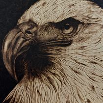 Eagle. Projekt z dziedziny Craft, DIY, Trad, c i jna ilustracja użytkownika Linda Milossa - 10.01.2025