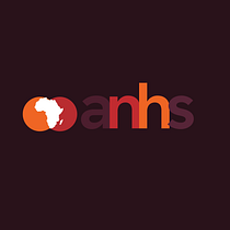ANHS - African food and nutrition Summit. Br, ing, Identit, Design, Logo Design, and Graphic Design project by Praise Emmanuel - 01.11.2025