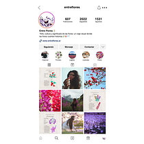 Entre Flores 🌼. Un progetto di Br, ing, Br, identit, Design, Design di loghi, Graphic design, Design tipografico e Tipografia di Gimena Enriz - 11.01.2025