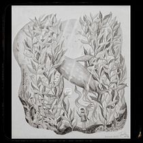 Mi proyecto del curso: Técnicas de ilustración artística con grafito. Fine Arts, Drawing, Pencil Drawing, Traditional illustration, Artistic Drawing, and Editorial Illustration project by Fiorella Ramos Añazgo - 01.11.2025