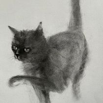 Cat  Ein Projekt aus dem Bereich Zeichnung, Bildende Künste, Porträtzeichnung und Naturalistische Illustration von Chantal Gagne - 14.01.2025