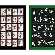 Leaves Experimental Design. Design, e Design gráfico projeto de Andreas Marcel - 17.01.2025