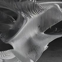 Organic Form. 3D, Modelagem 3D, Arquitetura, Visualização arquitetônica, Arquitetura digital, e Design de espaços projeto de angfrase - 18.01.2025