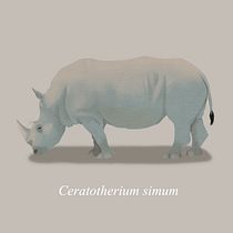 Mi proyecto del Curso Ein Projekt aus dem Bereich Realistische Zeichnung, Traditionelle Illustration, Digitale Illustration und Naturalistische Illustration von nandomoreno - 18.01.2025