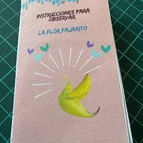Fanzine - Instrucciones para observar la flor pajarito.. Creativit, Narrative, Stor, telling, Writing, and Creative Writing project by Sandra Liliana Londoño Calero - 01.20.2025