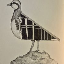 Ilustração surrealista com caneta fineliner Ein Projekt aus dem Bereich Zeichnung, Bleistiftzeichnung, Artistische Zeichnung, Realistische Zeichnung, Traditionelle Illustration und Illustration mit Tinte von Júlia Berton - 20.01.2025