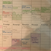 Agenda 2 semanas. Creative Consulting, Design Management, Marketing, Management, and Productivit project by larottanegrete - 01.21.2025