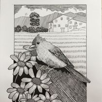 Cottage and bird. Artistic Drawing, Drawing, Naturalistic Illustration, Sketchbook, and Sketching project by MARIA TARRAGO MARTI - 01.21.2025