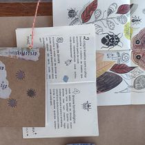 caderNinhos de observação da natureza - NiDo Estúdio. Projekt z dziedziny Craft, Ilustracje dla dzieci, Kreat, wne zabaw, z dziećmi, Trad, c, jna ilustracja i Pisanie użytkownika Denise Paspardelli - 23.01.2025