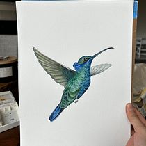 Colibrí . Desenho realista, Ilustração tradicional, Pintura em aquarela e Ilustração naturalista projeto de Paola Cardenas - 23.01.2025