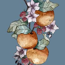 Proyecto de dibujo y composición naturalista: Naranjitas. Drawing, Traditional illustration, Naturalistic Illustration, and Watercolor Painting project by Isabel Quiroga Castro - 01.24.2025