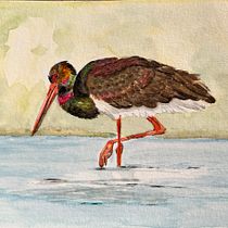 Cigogne  noire. Traditional illustration, Naturalistic Illustration, and Watercolor Painting project by Sylvie Abel - 01.30.2025