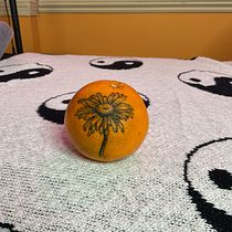 Daisy on orange. Un progetto di Design di tatuaggi di s.khan37 - 30.01.2025