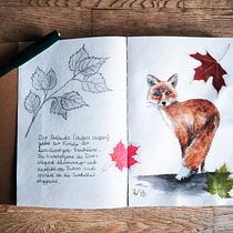 Red fox in Berlin. Collage, Traditional illustration, Naturalistic Illustration, and Sketchbook project by Juliane Wünsche - 02.02.2025