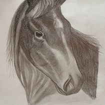 Caballo con lunar blanco . Un projet de Dessin, Beaux Arts, Illustration naturaliste, Dessin au cra, on , et Dessin réaliste de Shirley Zulay Aguilar Guamán - 03.02.2025