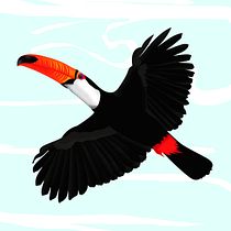 TUCANO. Un progetto di Illustrazione digitale, Illustrazione infantile e Illustrazione vettoriale di Eduar Montesinos - 08.02.2025
