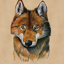 my first procreate drawing Ein Projekt aus dem Bereich Realistische Zeichnung, Traditionelle Illustration, Digitale Illustration und Naturalistische Illustration von 범준 김 - 08.02.2025