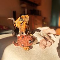 Tricolor Puppy. DIY, Fiber Arts, Knitting, and Textile Design project by dana.retova - 02.10.2025