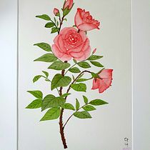 Oriental style paintings for the New Year. Un progetto di Illustrazione botanica, Illustrazione tradizionale, Illustrazione con inchiostro, Belle arti e Pittura di Diyana - 12.02.2025