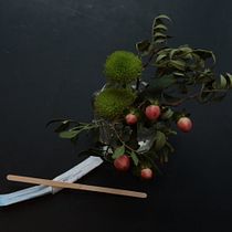 Winter still life. Photographic Composition, Photograph, and Digital Photograph project by Julia Kulikova - 02.12.2025