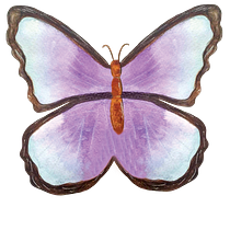 Ilustración para productos. Artistic Drawing, Botanical Illustration, Naturalistic Illustration, and Watercolor Painting project by Angélica Isaza - 02.22.2025