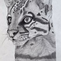 Ocelot - Graphite Illustration. Drawing, Traditional illustration, Naturalistic Illustration, and Pencil Drawing project by Shaylyn Berntson - 03.01.2025