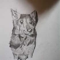 Final Naturalist Project :Subject:Bruno. Drawing, Traditional illustration, Naturalistic Illustration, and Pencil Drawing project by isabelasosalovo - 03.07.2025