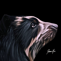 OSO ANDINO. Projekt z dziedziny Trad, c, jna ilustracja, Ilustracja c, frowa, Pattern design, Ilustracja naturalist i czna użytkownika elizabeth0519 - 09.03.2025