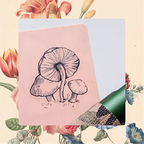 Honguitos. Un progetto di Design di tatuaggi di Andrea Bañuelos González - 09.03.2025