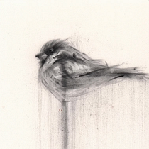 Expressive Drawing with Charcoal Ein Projekt aus dem Bereich Zeichnung, Bildende Künste, Porträtzeichnung und Naturalistische Illustration von kathrynga - 17.03.2025