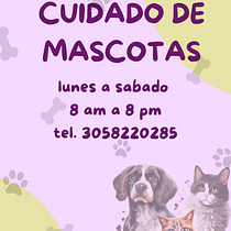 promocion de tienda y cuidado para mascotas. Content Marketing, Digital Marketing, Facebook Marketing, Growth Marketing, Instagram Marketing, Marketing, Mobile Marketing, and Social Media project by morajuliana13 - 03.25.2025
